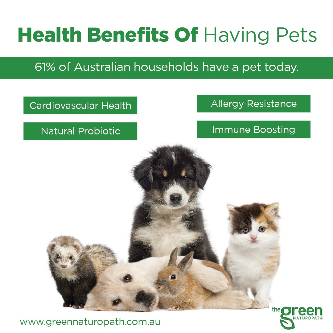 health benifits of having pets