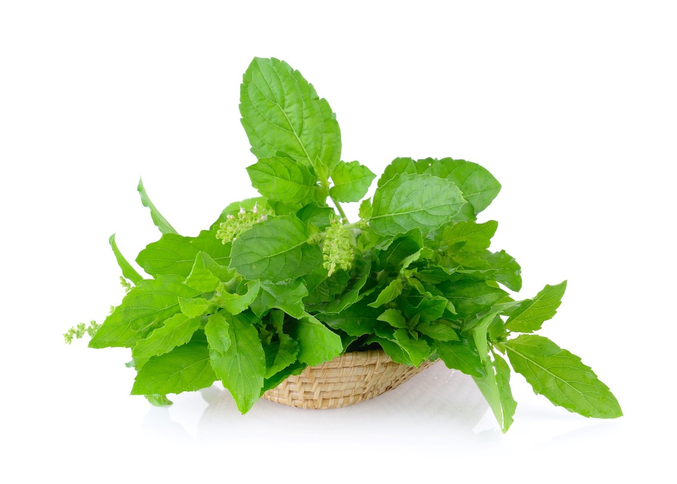 Tulsi Leaf Benefits