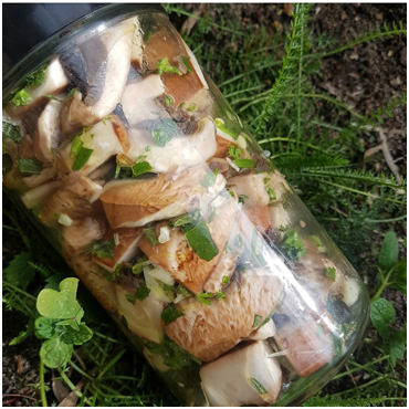 marinated mushrooms